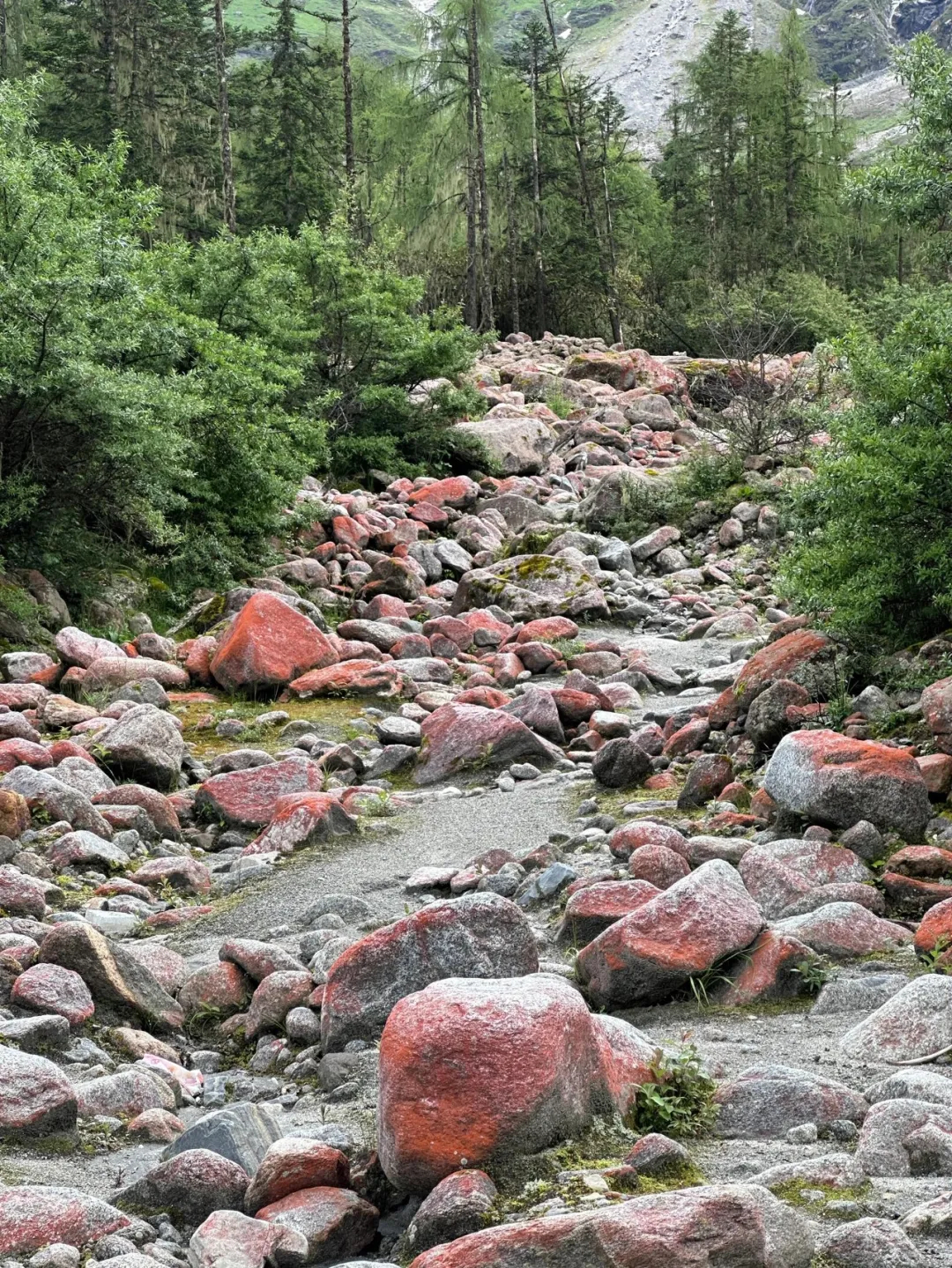 b0caeb5762d8cead71287b78211d224c_640_wx_fmt=jpeg&from=appmsg&tp=webp&wxfrom=5&wx_lazy=1&wx_co=1